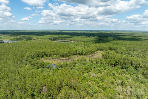 Купить виллу или дом в Пейсли, Флорида 6 комнат, 95.13м2, № 1725234 - фото 14