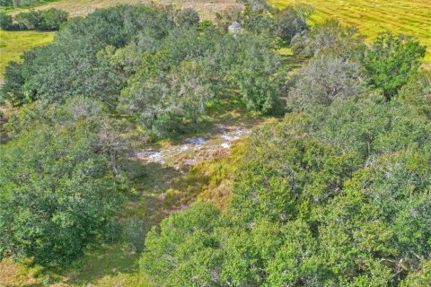Terreno en venta en Wauchula, Florida № 1916843 - foto 10
