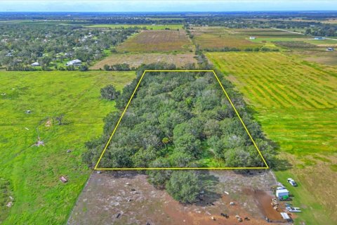 Terreno en venta en Wauchula, Florida № 1916843 - foto 12