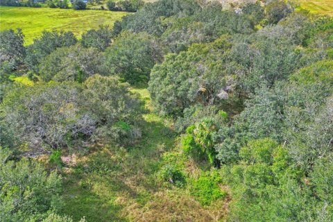 Terreno en venta en Wauchula, Florida № 1916843 - foto 9