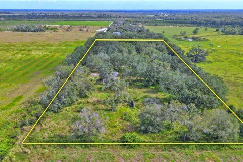 Terreno en venta en Wauchula, Florida № 1916843 - foto 1