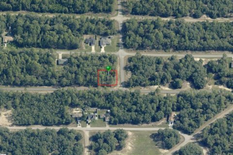 Land in Citrus Springs, Florida № 2163570
