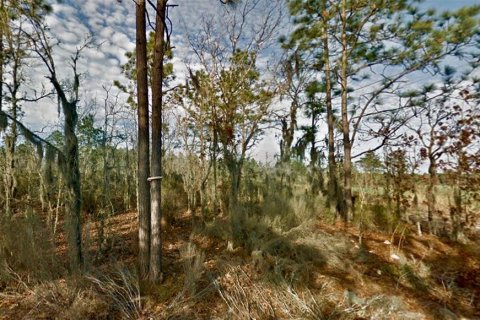 Land in Bronson, Florida № 2158723 - photo 5