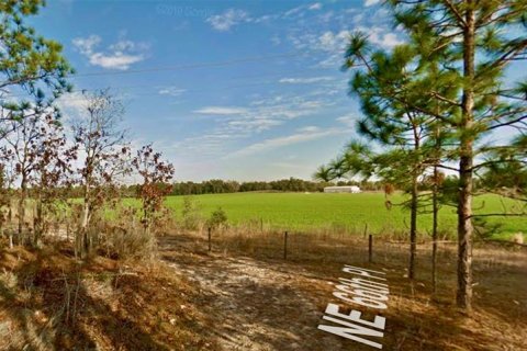 Land in Bronson, Florida № 2158723 - photo 6