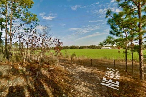 Land in Bronson, Florida № 2158723 - photo 7