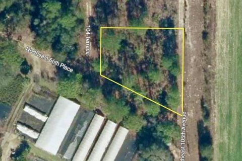 Land in Bronson, Florida № 2158723 - photo 2