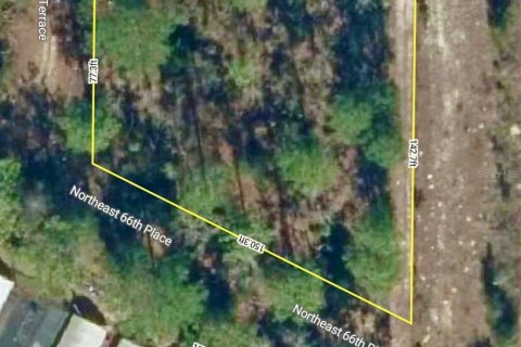 Land in Bronson, Florida № 2158723 - photo 3