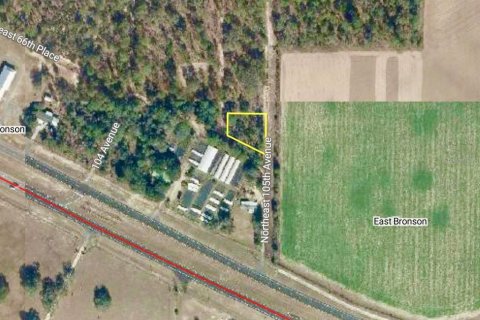 Land in Bronson, Florida № 2158723