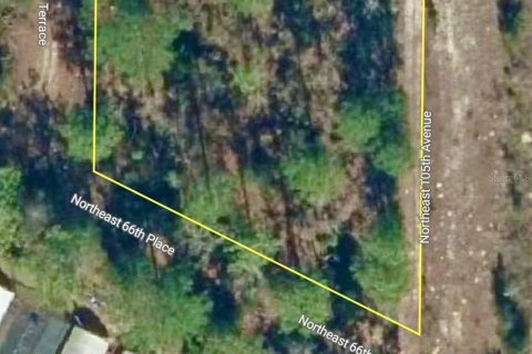 Land in Bronson, Florida № 2158723 - photo 8