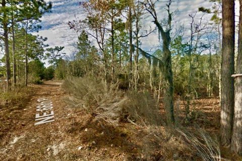 Land in Bronson, Florida № 2158723 - photo 4