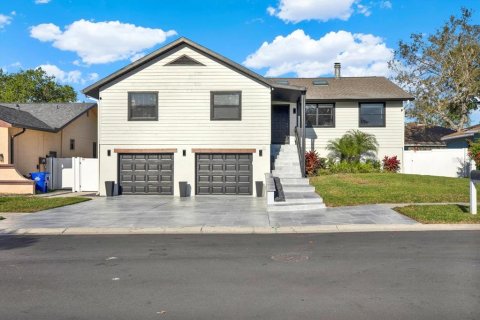 House in Palm Harbor, Florida 5 bedrooms, 270.9 sq.m. № 1735311 - photo 1