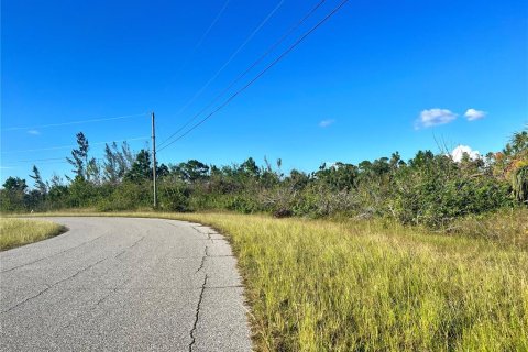 Land in Port Charlotte, Florida № 2160126 - photo 2