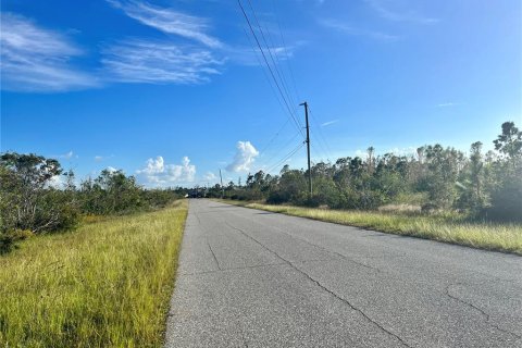 Land in Port Charlotte, Florida № 2160126 - photo 3