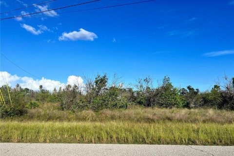 Land in Port Charlotte, Florida № 2160126