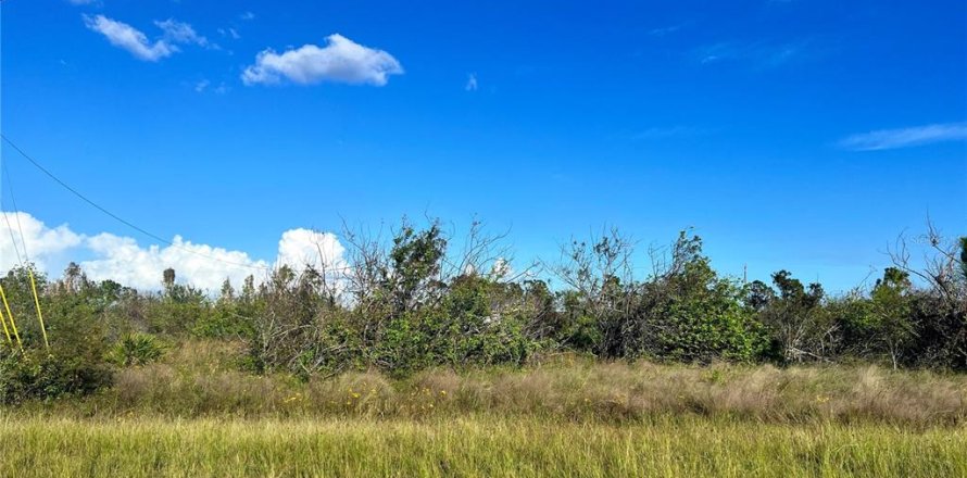 Land in Port Charlotte, Florida № 2160126