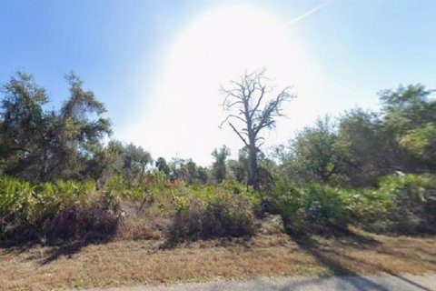 Land in Port Charlotte, Florida № 2165865