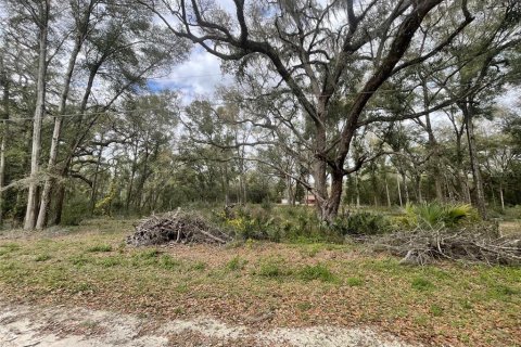 Terrain à vendre à Dunnellon, Floride № 1540856 - photo 3