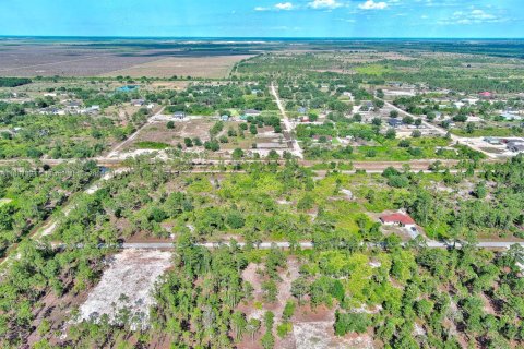 Land in Lehigh Acres, Florida № 2158527 - photo 20