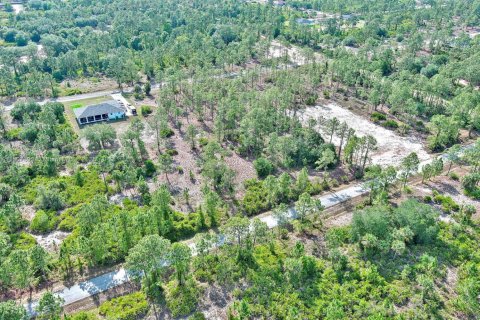 Land in Lehigh Acres, Florida № 2158527 - photo 14