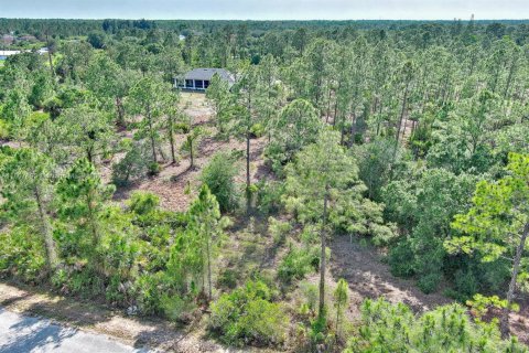 Land in Lehigh Acres, Florida № 2158527 - photo 5