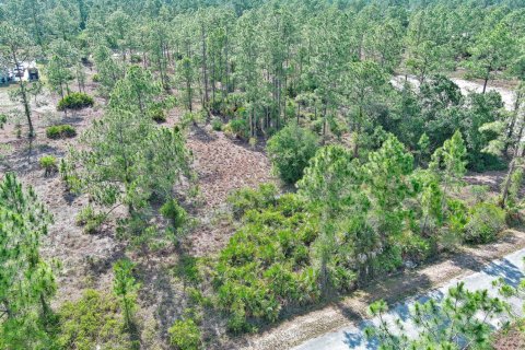 Land in Lehigh Acres, Florida № 2158527
