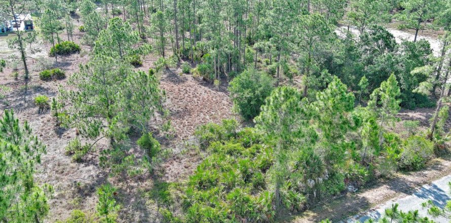 Land in Lehigh Acres, Florida № 2158527