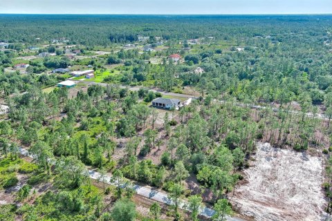 Land in Lehigh Acres, Florida № 2158527 - photo 17