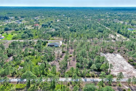 Land in Lehigh Acres, Florida № 2158527 - photo 16