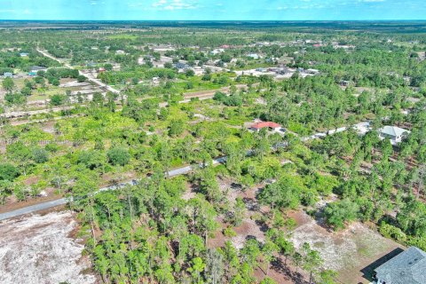 Land in Lehigh Acres, Florida № 2158527 - photo 22