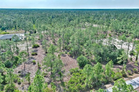 Land in Lehigh Acres, Florida № 2158527 - photo 11