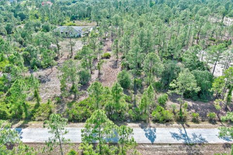 Land in Lehigh Acres, Florida № 2158527 - photo 9