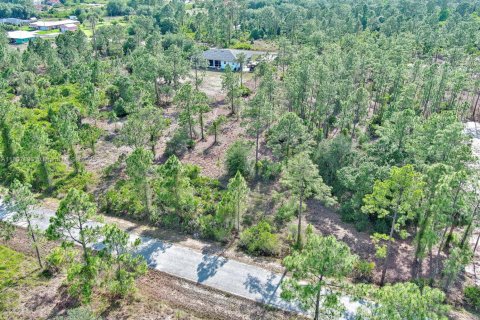 Land in Lehigh Acres, Florida № 2158527 - photo 8