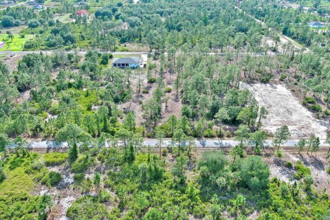 Land in Lehigh Acres, Florida № 2158527 - photo 15