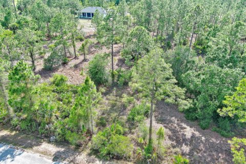 Land in Lehigh Acres, Florida № 2158527 - photo 6
