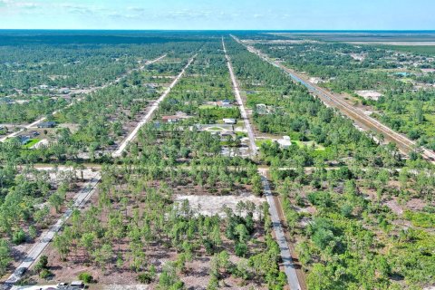 Land in Lehigh Acres, Florida № 2158527 - photo 19