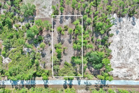 Land in Lehigh Acres, Florida № 2158527 - photo 2