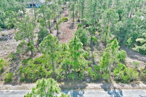 Land in Lehigh Acres, Florida № 2158527 - photo 3