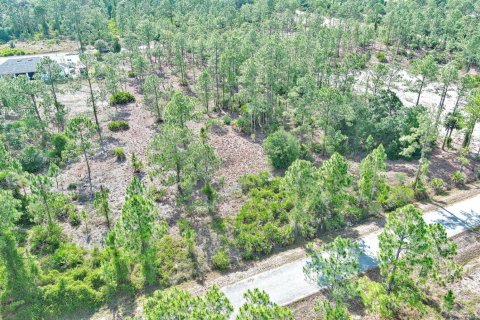 Land in Lehigh Acres, Florida № 2158527 - photo 12