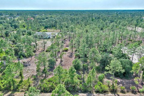 Land in Lehigh Acres, Florida № 2158527 - photo 10