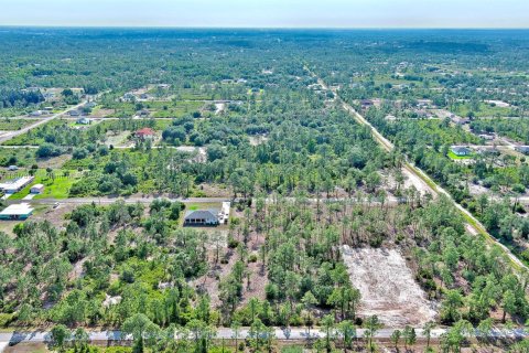 Land in Lehigh Acres, Florida № 2158527 - photo 18