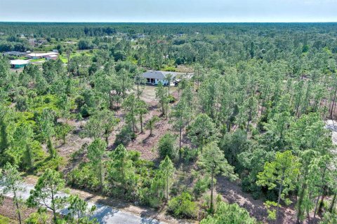 Land in Lehigh Acres, Florida № 2158527 - photo 7