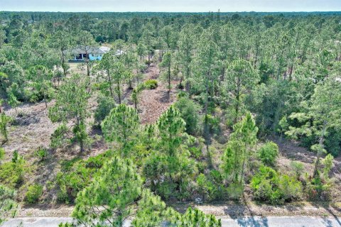 Land in Lehigh Acres, Florida № 2158527 - photo 4