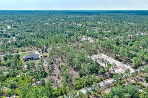 Land in Lehigh Acres, Florida № 2158527 - photo 13