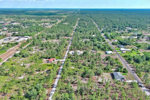 Land in Lehigh Acres, Florida № 2158527 - photo 21
