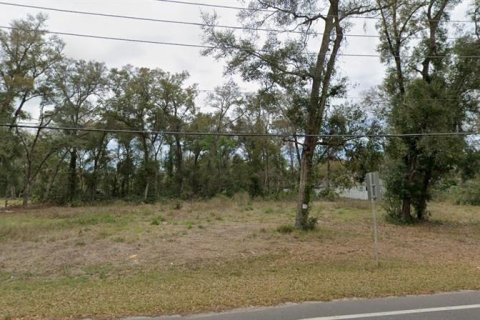 Land in Sorrento, Florida № 2106192 - photo 3