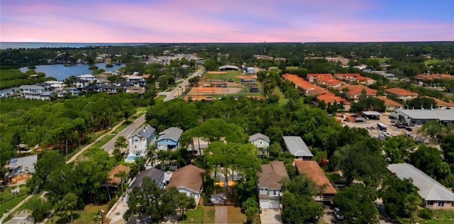 Villa ou maison à Palm Harbor, Floride 3 chambres, 121.79 m2 № 2362626