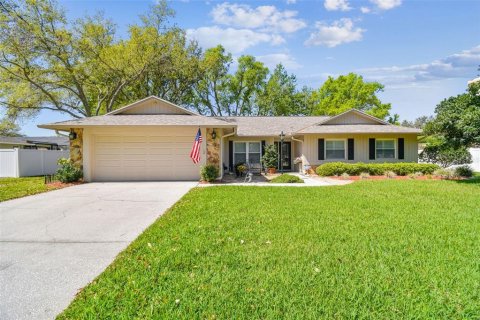 House in Brandon, Florida 4 bedrooms, 252.32 sq.m. № 1583916 - photo 1
