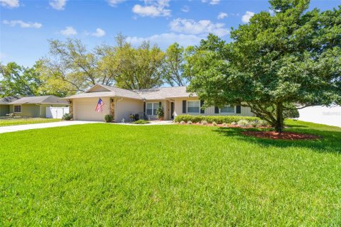 House in Brandon, Florida 4 bedrooms, 252.32 sq.m. № 1583916 - photo 3