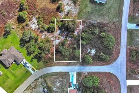 Land in Lehigh Acres, Florida № 2161931 - photo 2