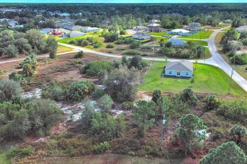 Land in Lehigh Acres, Florida № 2161931 - photo 11